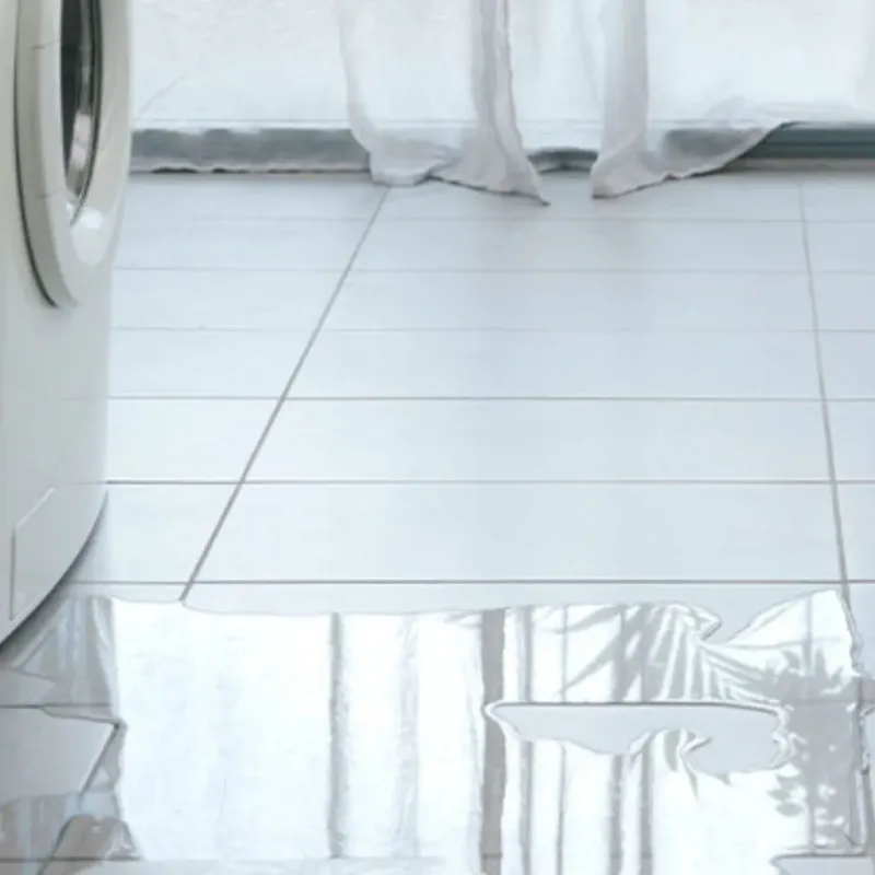 Appliance Leak Cleanup in Searcy County, AR