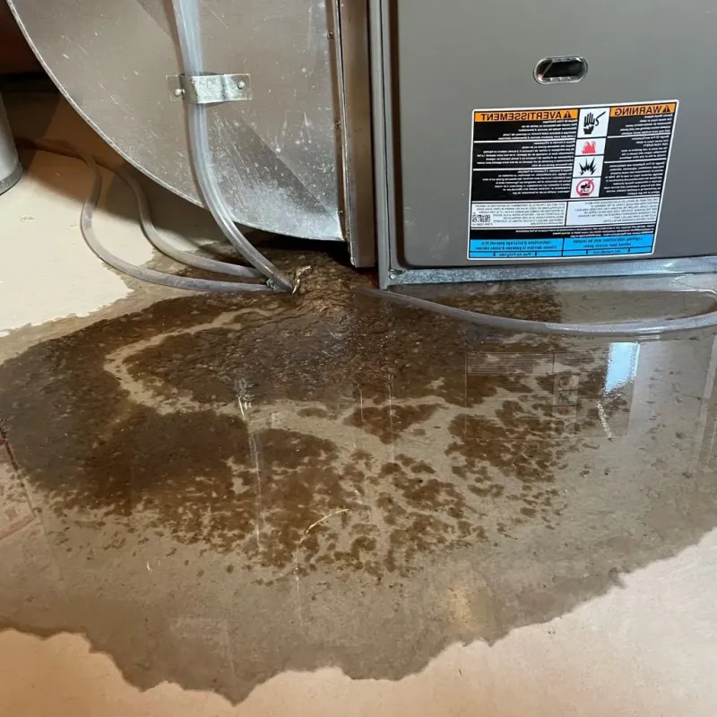 Pipe Burst and Leak Restoration in Searcy County, AR