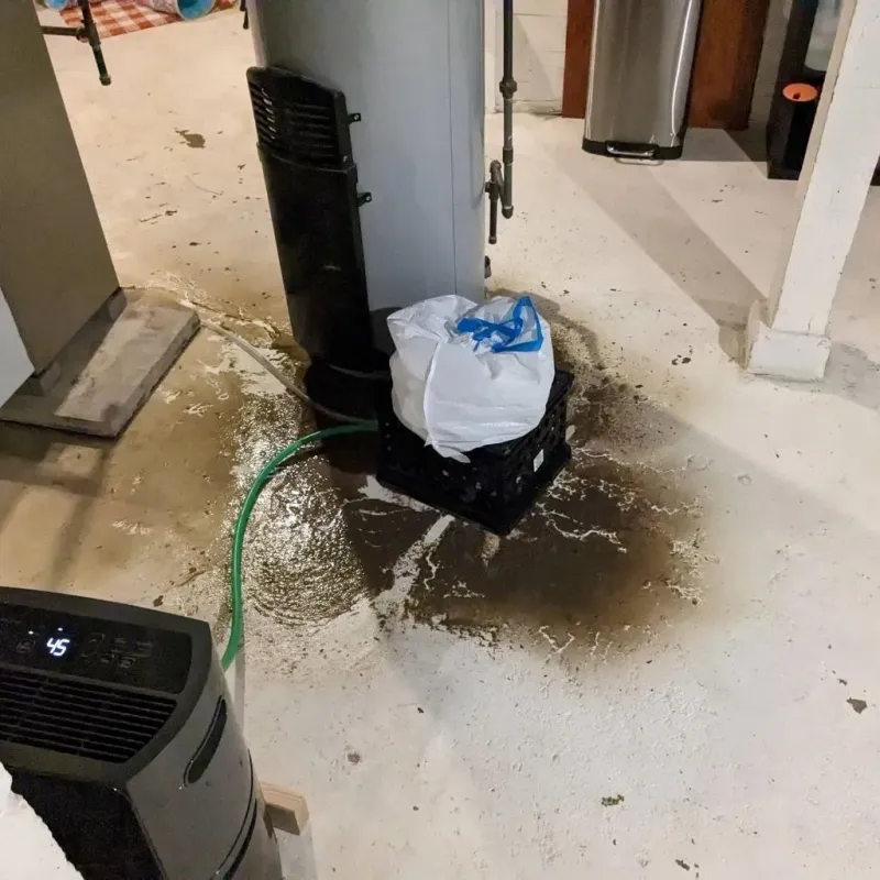 Sewage Backup Cleanup Service in Searcy County, AR